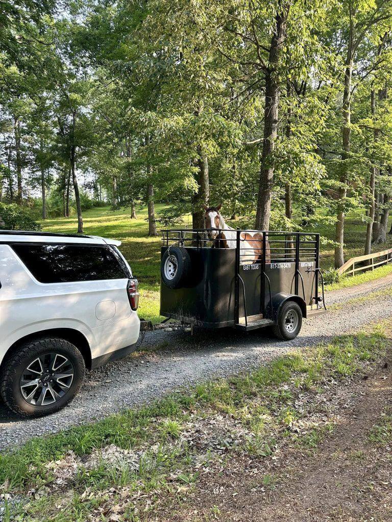 Livestock Trailer