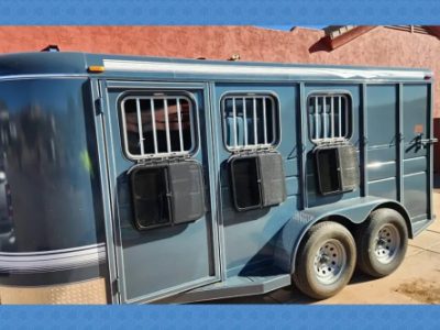 Online Platform for Renting Horse Trailers: Tech Innovations