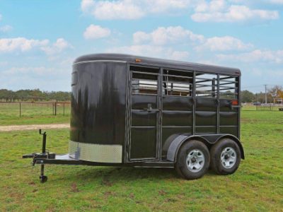 350 Youths at Texas 4-H Horse Show: Skills & Bonds